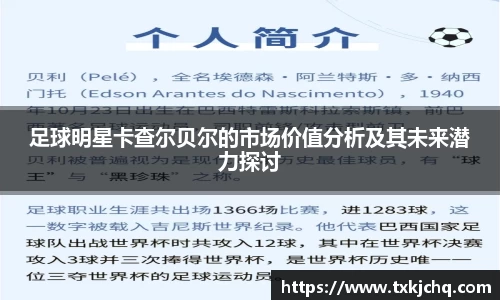 必一运动bsport体育